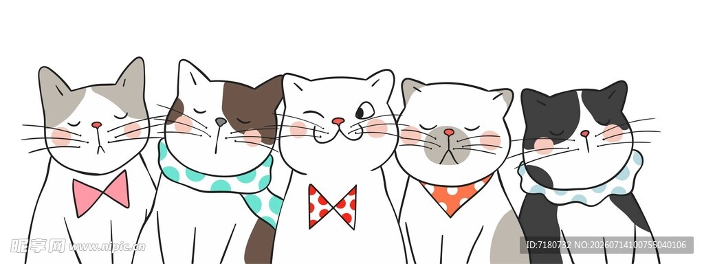 猫