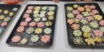 多彩造型饼干整齐摆放