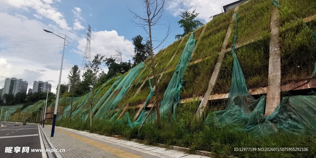 道路旁覆绿网的施工坡面