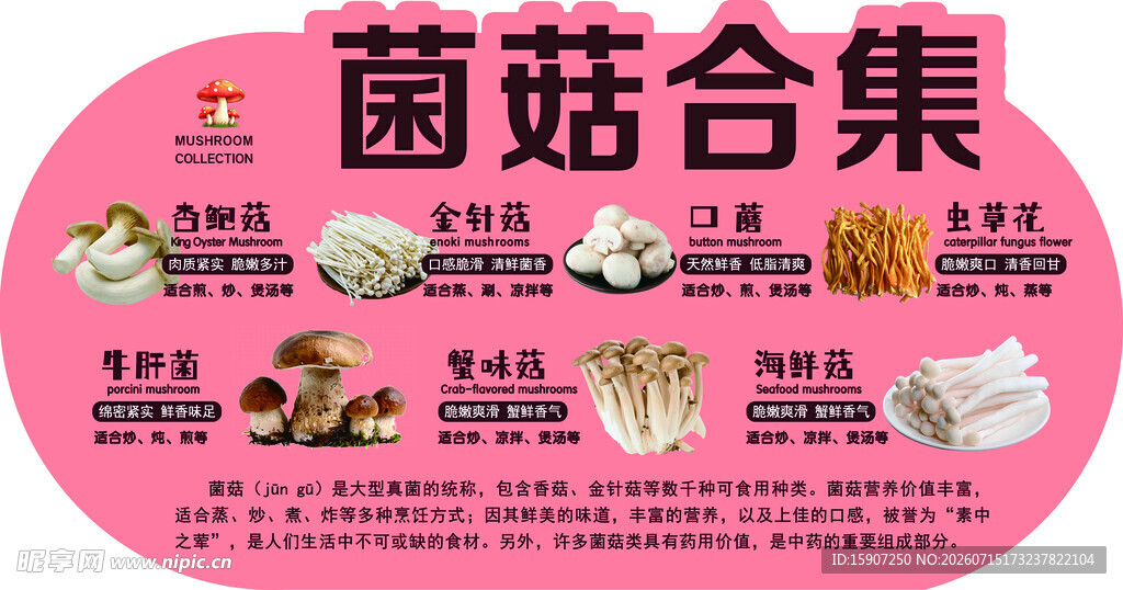 菌菇合集展示多种美味菌菇