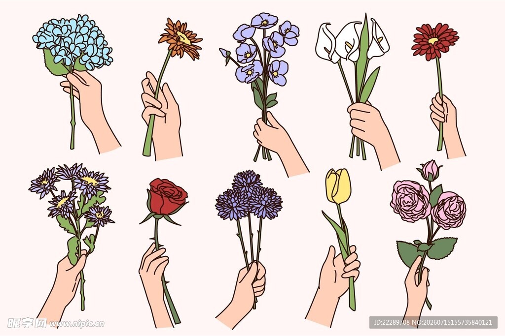 手绘手捧花插画集合