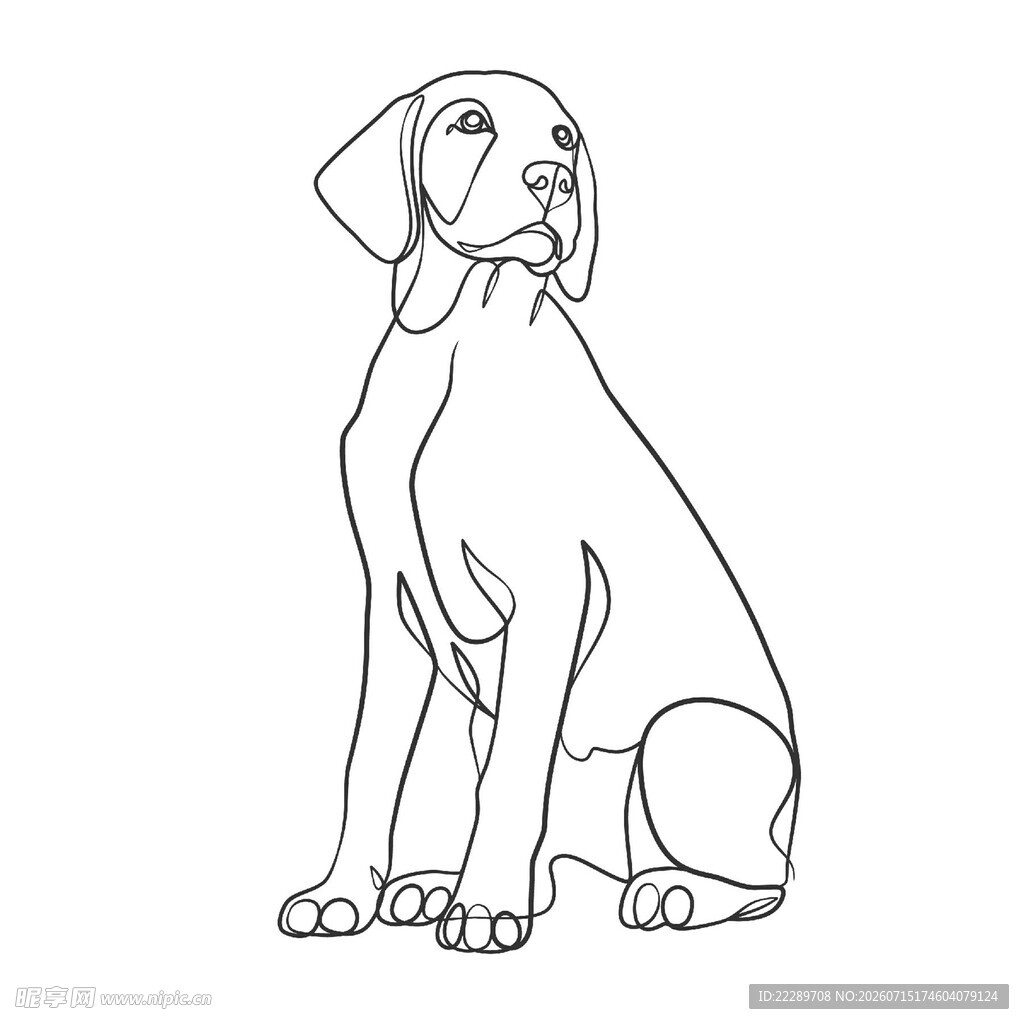 坐姿大丹犬线条简笔画