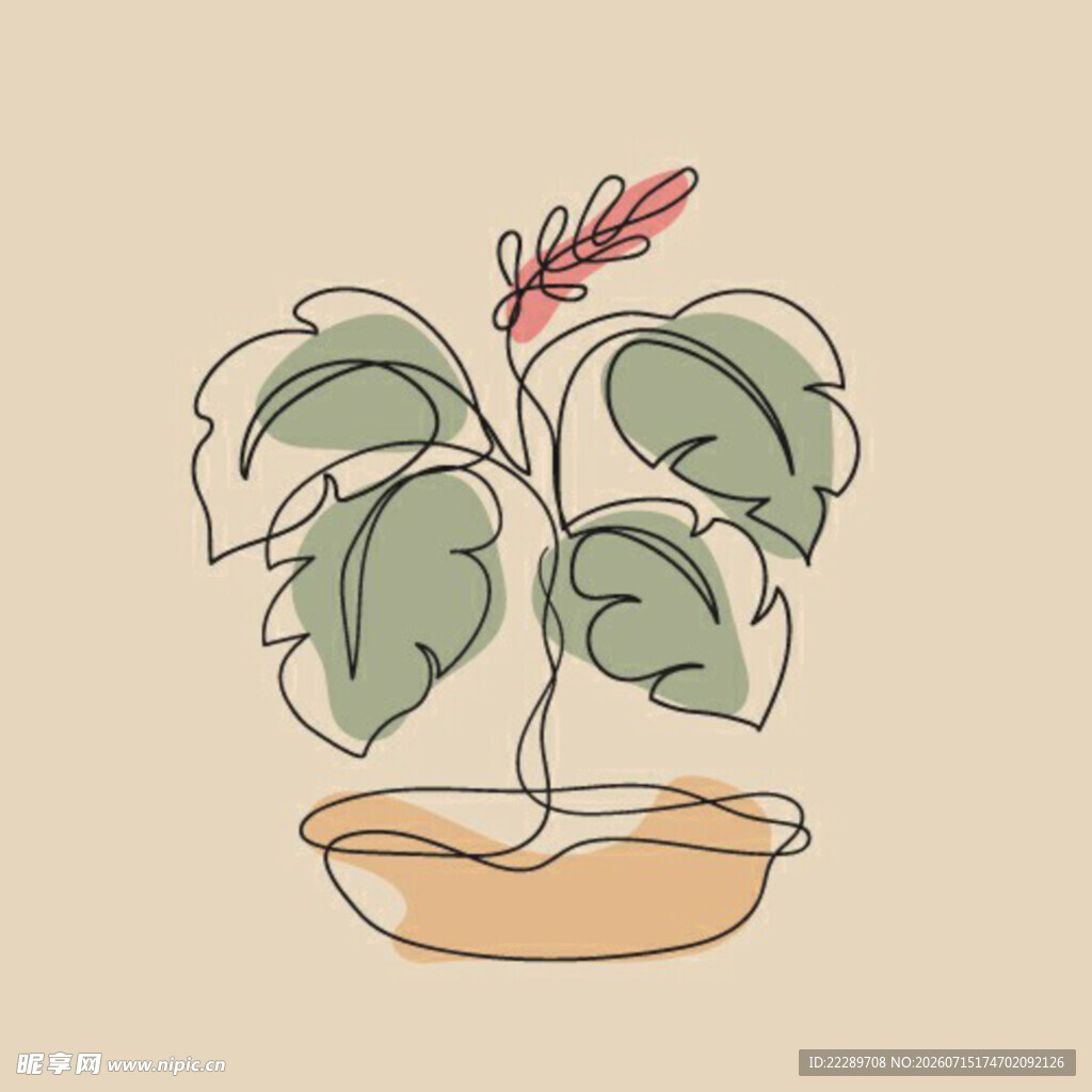 简约线条风盆栽植物插画