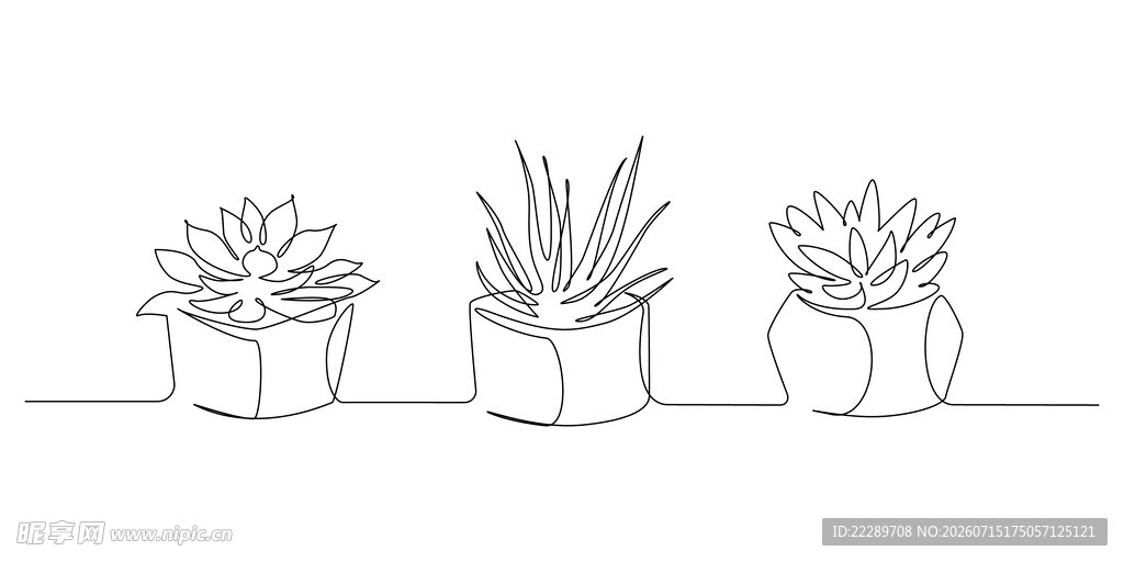 简约线条风多肉盆栽插画