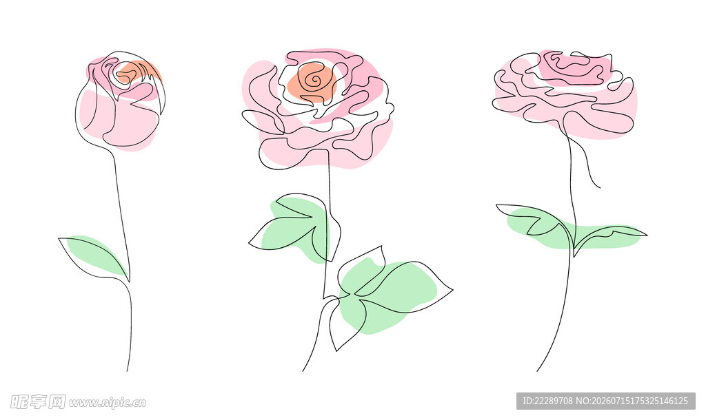 手绘粉色玫瑰花插画