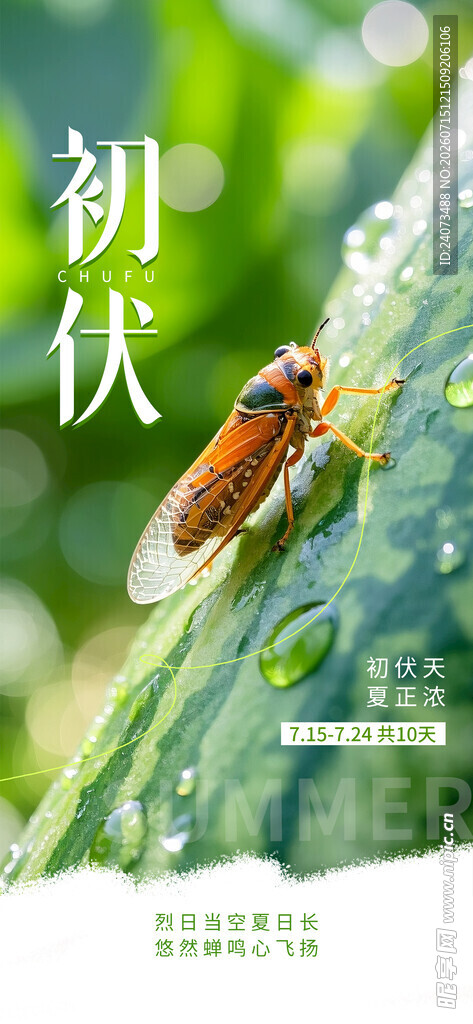 初伏时节的昆虫与绿叶