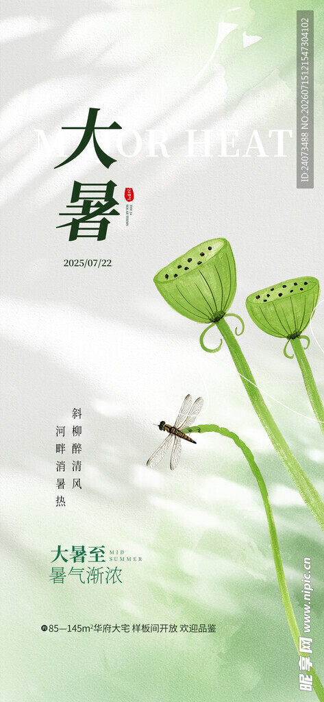 大暑时节的清新绿植