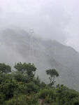 山间乡村路旁绿植与电线杆