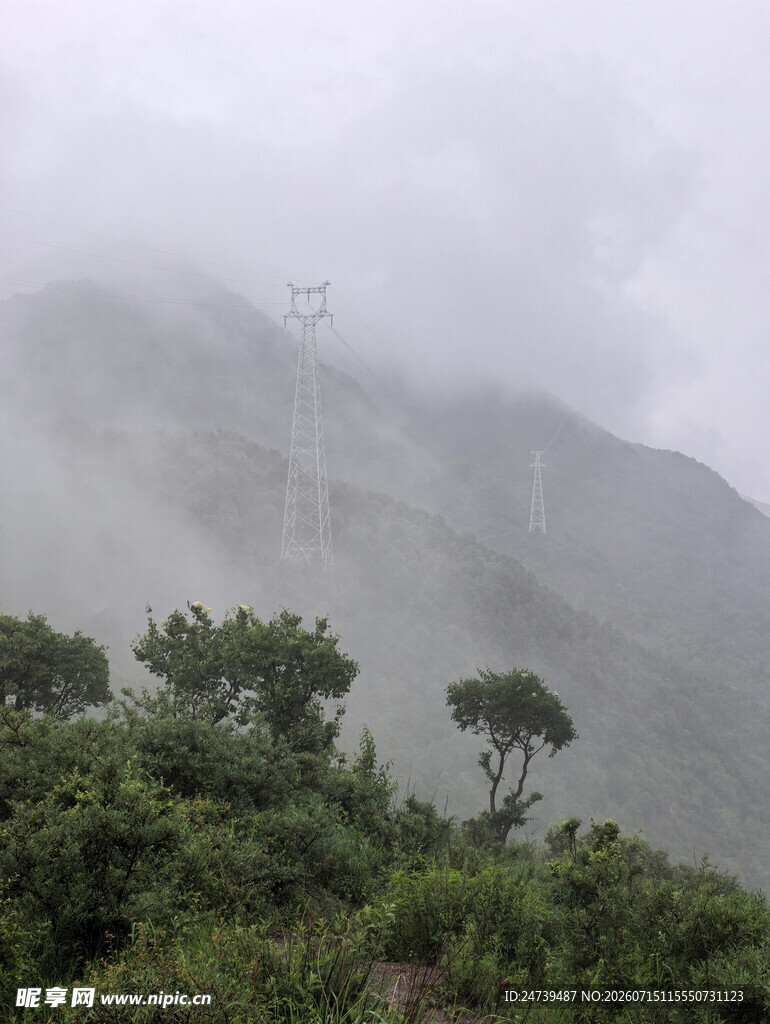 山间乡村路旁绿植与电线杆