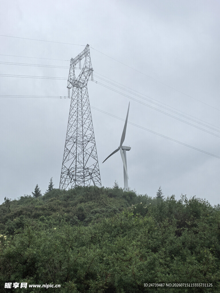 云雾缭绕中的山林景致