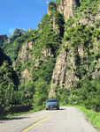 山间公路旁绿意盎然景致