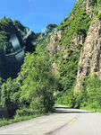 山间公路旁绿意盎然景致