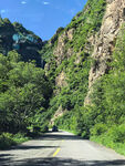 山间公路旁绿意盎然景致