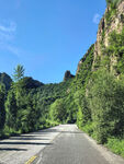 山间公路旁绿意盎然景致