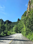 山间公路旁绿意盎然景致