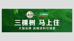 三棵树马上住墙面漆广告