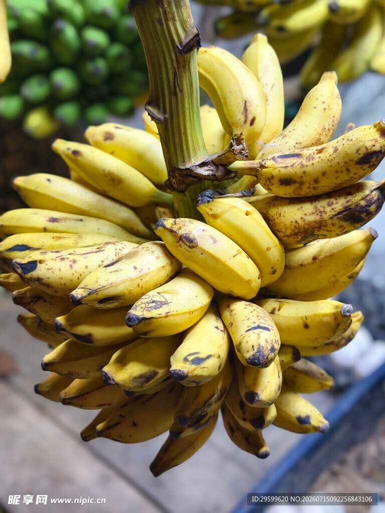 一串成熟饱满的黄色香蕉