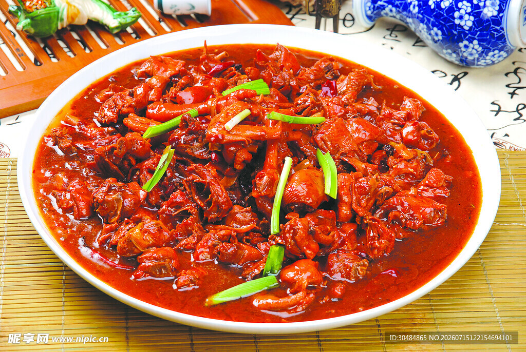 美味红烧鸡肉