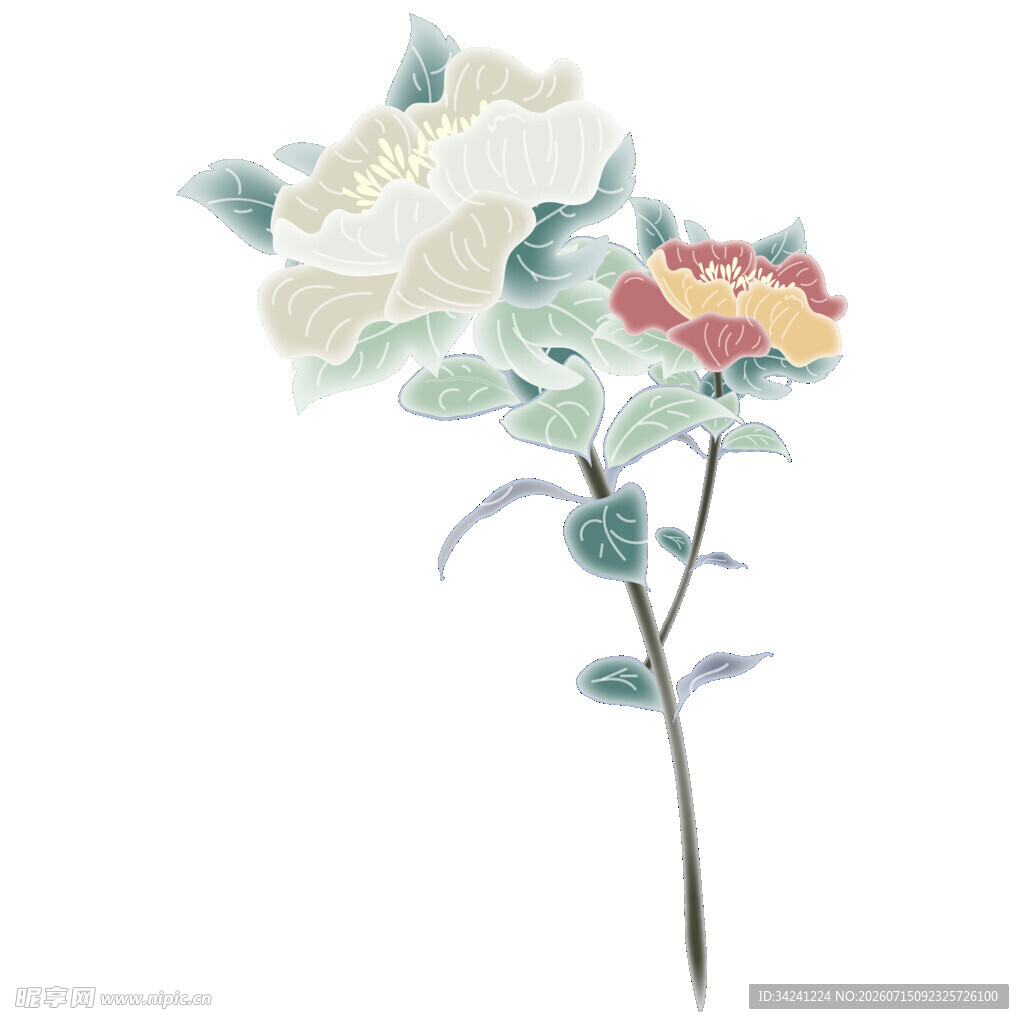 手绘花卉插画