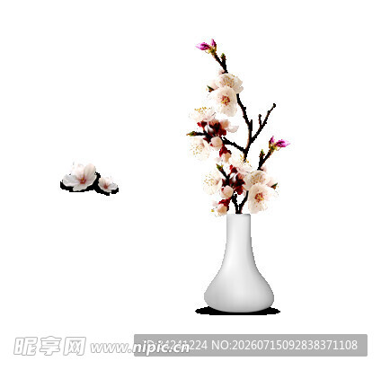 中式花瓶插枝绽放花朵