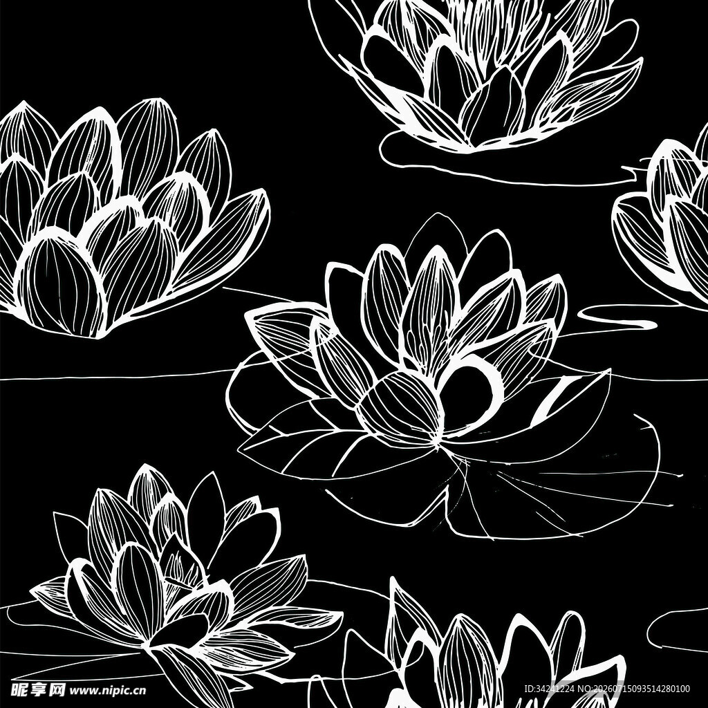 黑白线条绘莲花图案