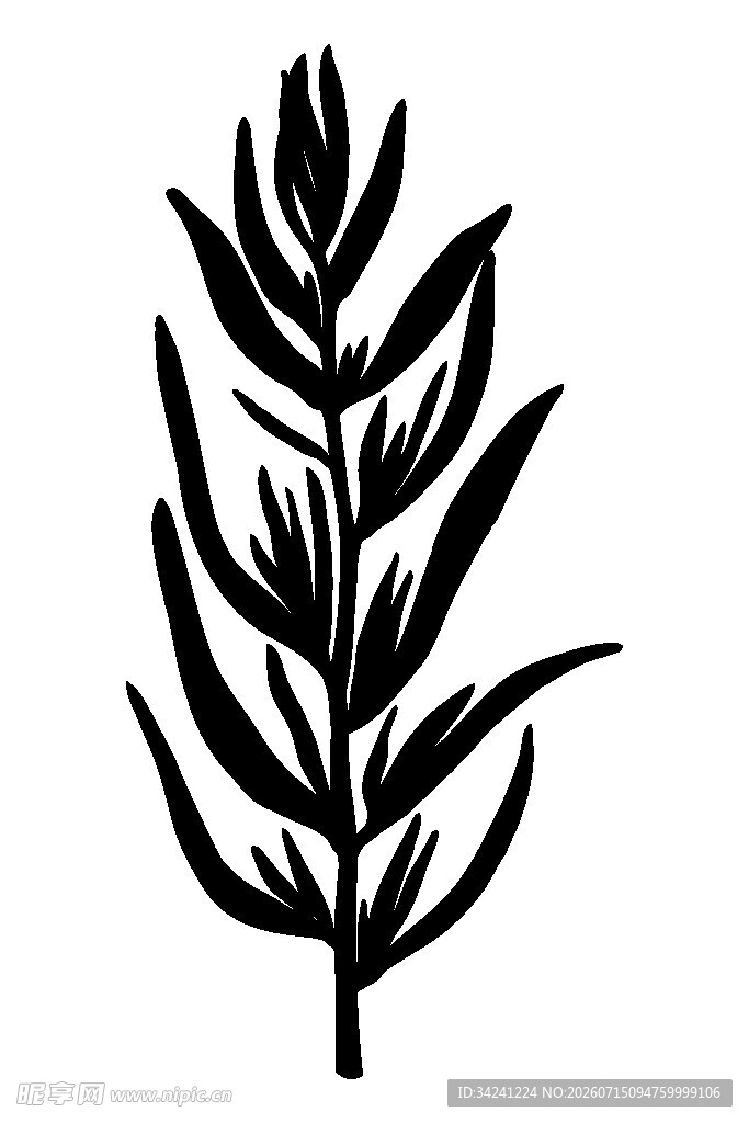 简约黑色植物枝叶图案