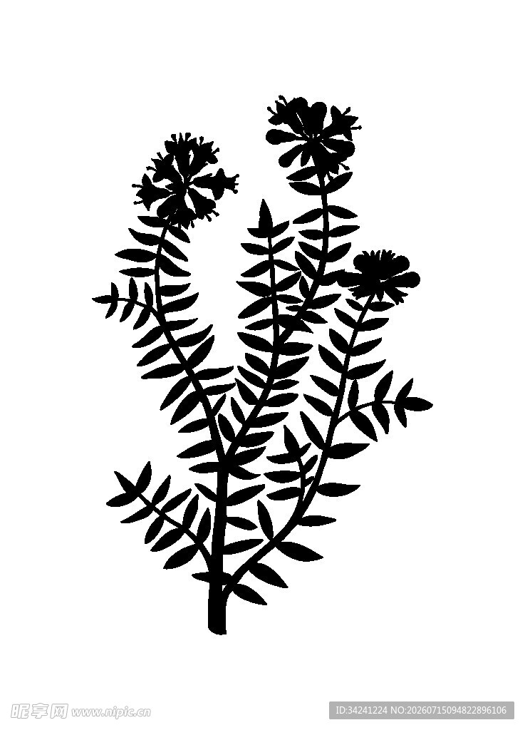 简约植物剪影图案