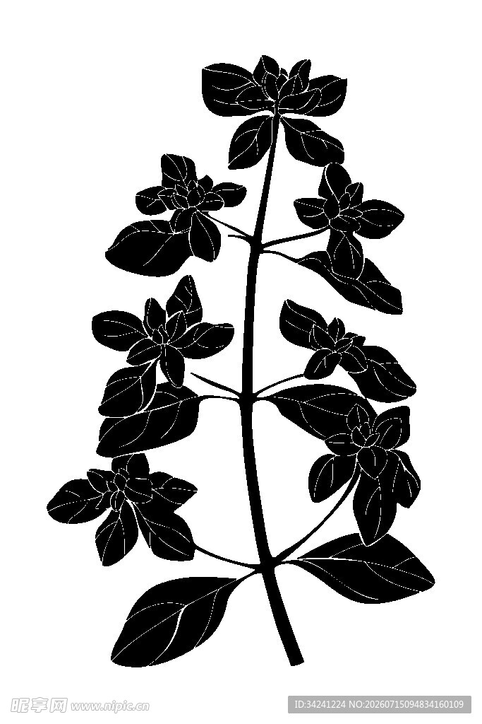 黑色植物剪影图案