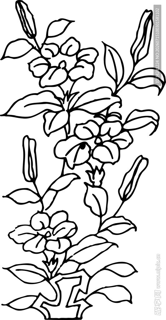 花卉植物线稿图案