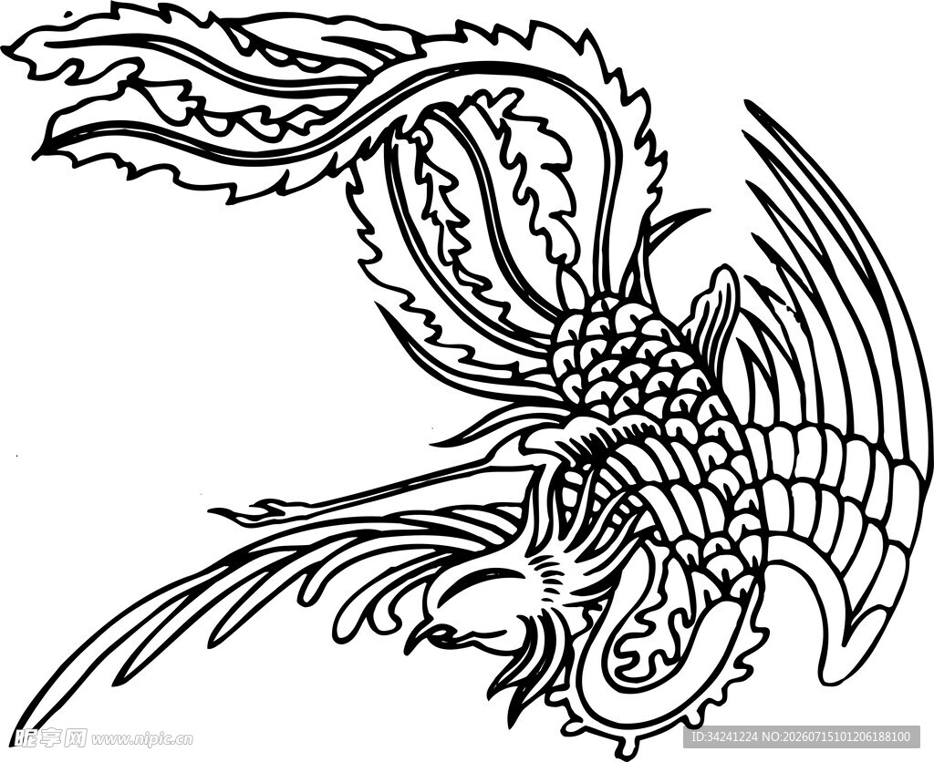 奇幻飞龙黑白线条插画