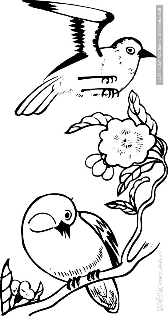 花鸟图稿