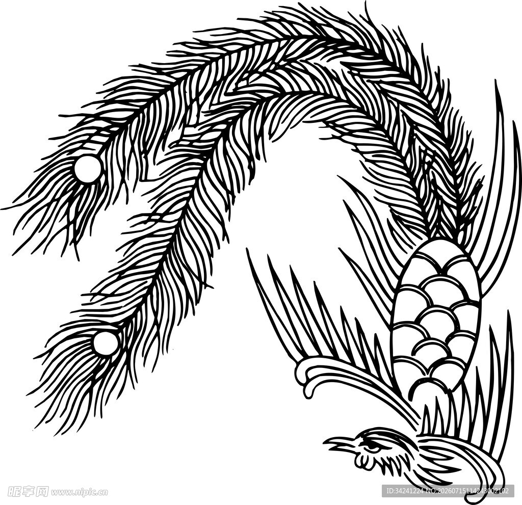 凤凰黑白线条插画