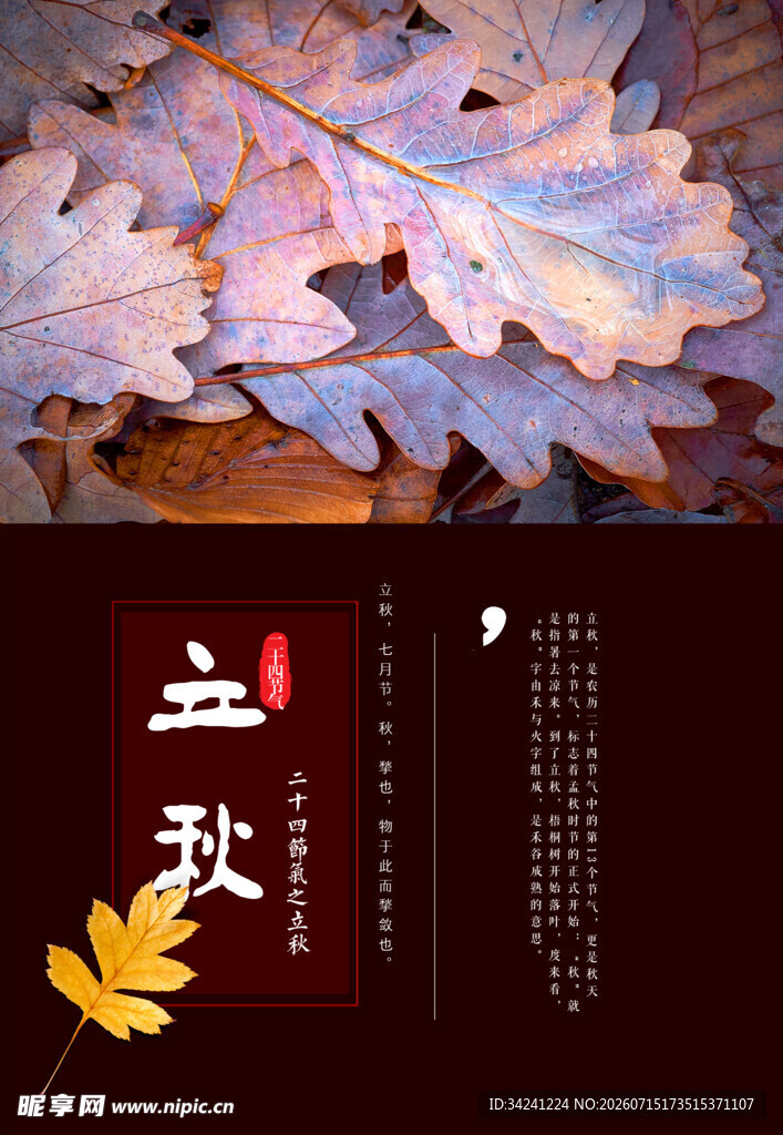 立秋时节落叶知秋意