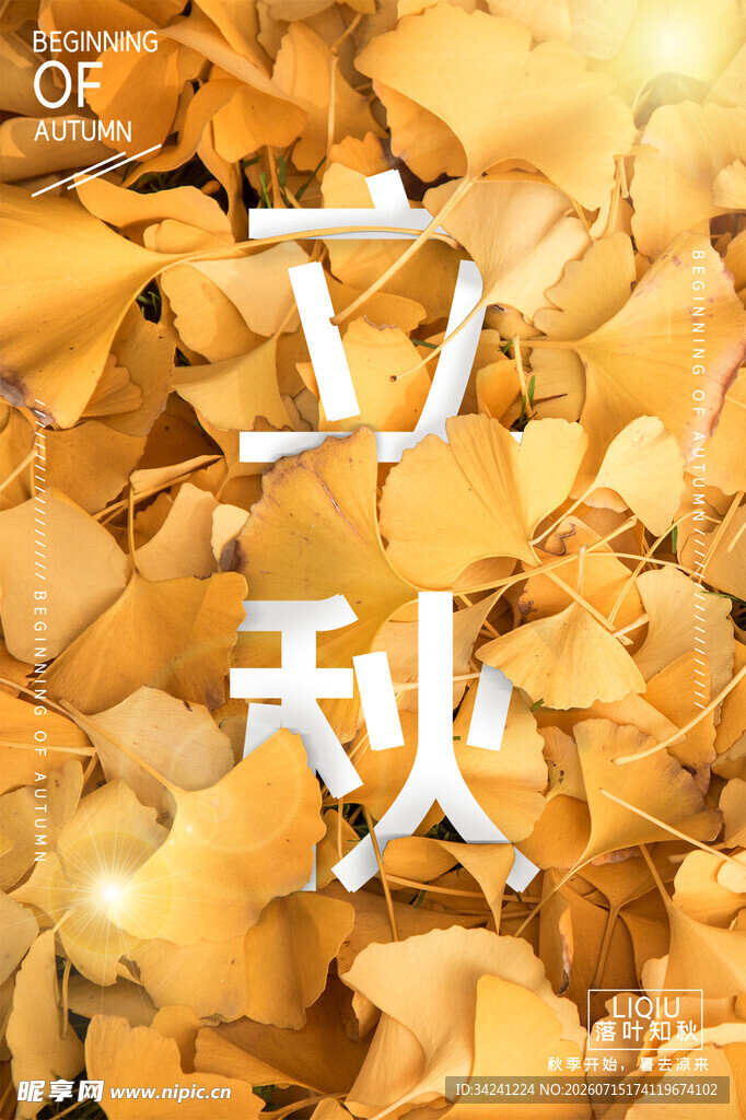 立秋时节金黄落叶景致