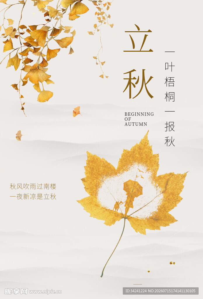 立秋时节金黄枫叶飘落