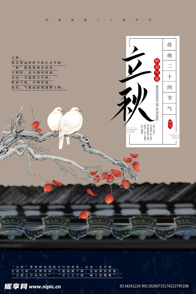 立秋时节白鸽栖于枝头