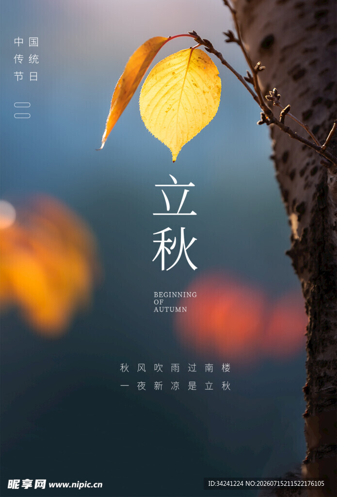 立秋时节一叶知秋景象