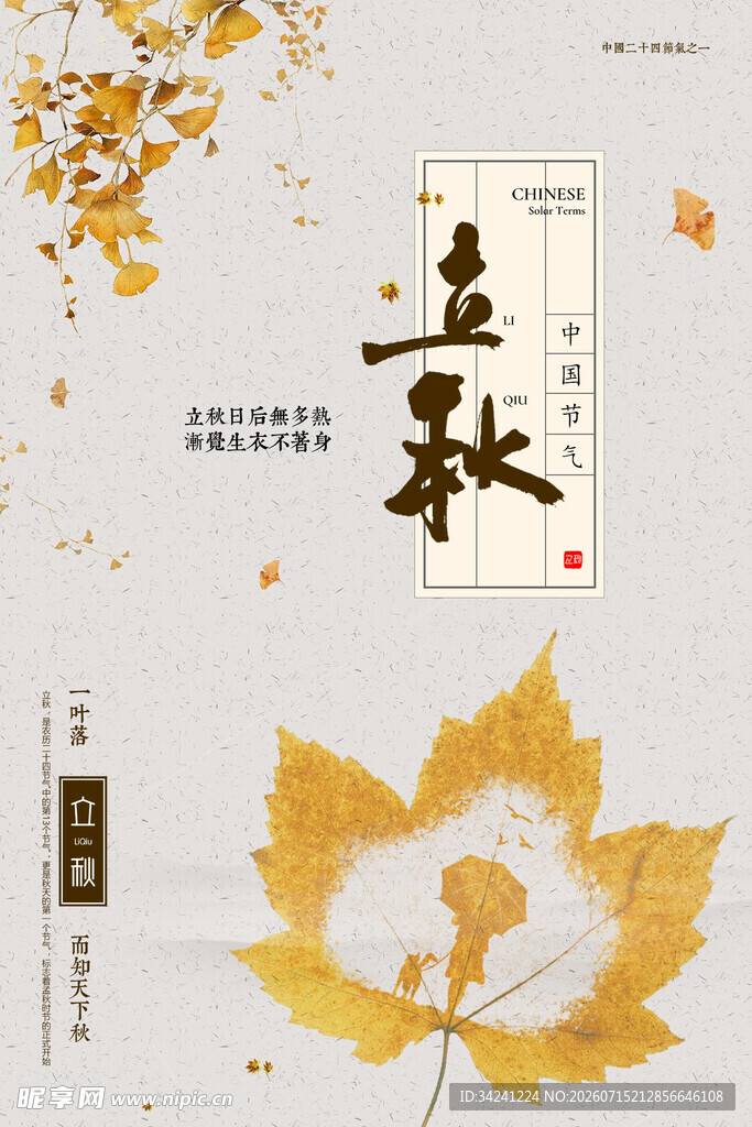 立秋时节金黄枫叶添秋意
