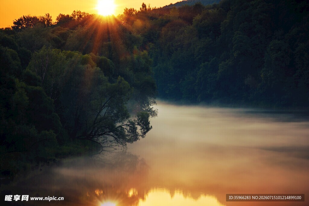 日出山林间的晨雾美景