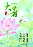 大暑时节荷花蜻蜓图