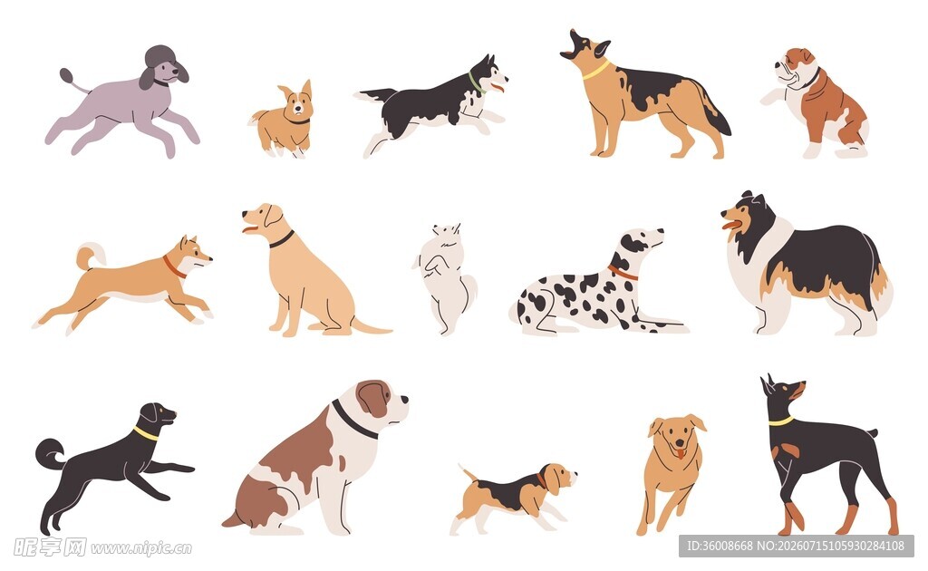 狗狗插画合集