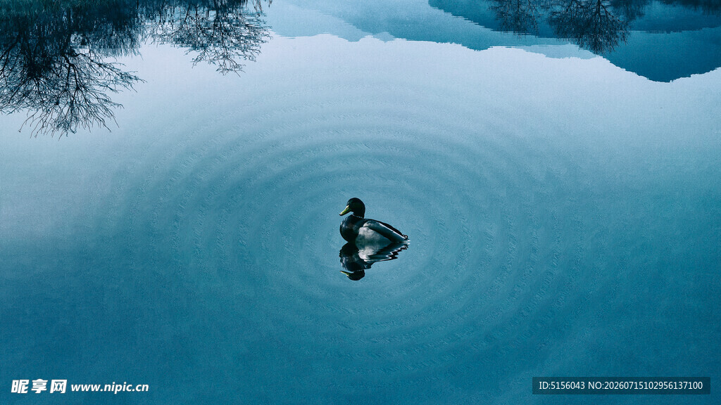 水面倒影中的静谧景象