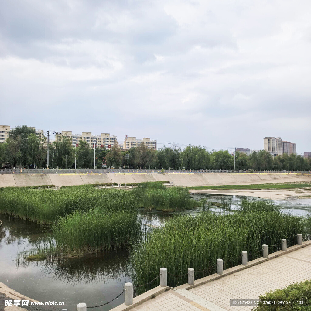 城市河畔湿地景观