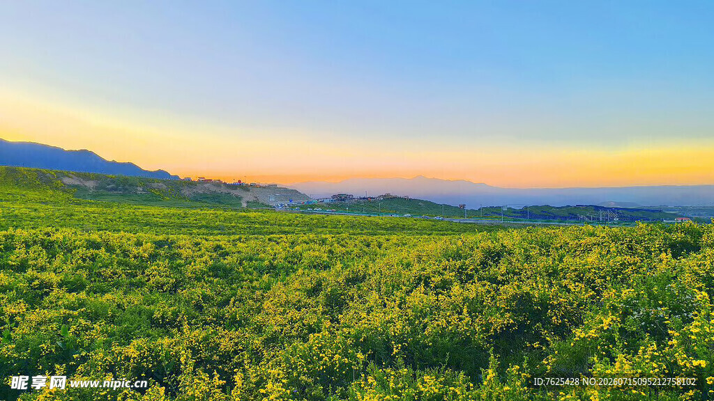 夕阳下的广袤绿色田野