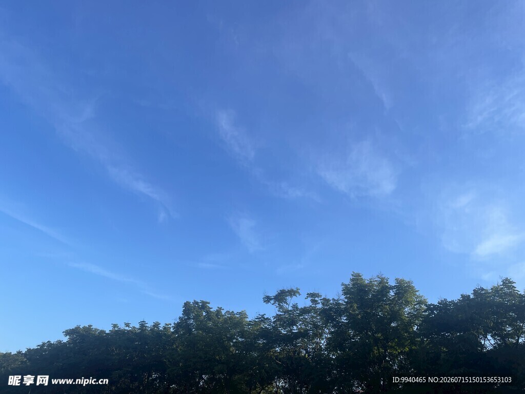 蓝天绿树风景图