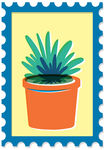 盆栽多肉植物插画