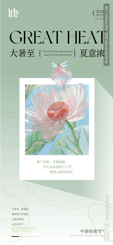 大暑节气清新荷花海报 