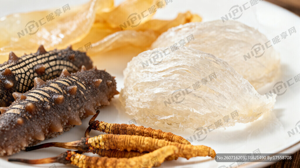 图片燕窝虫草海参鱼胶