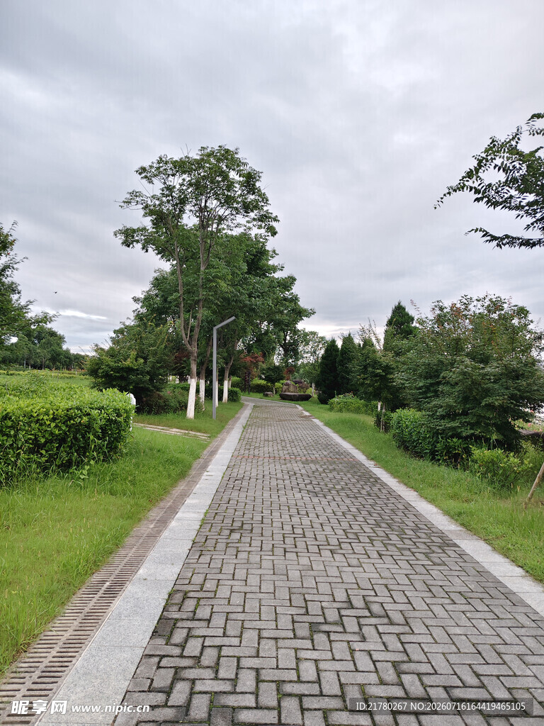 休闲石板路