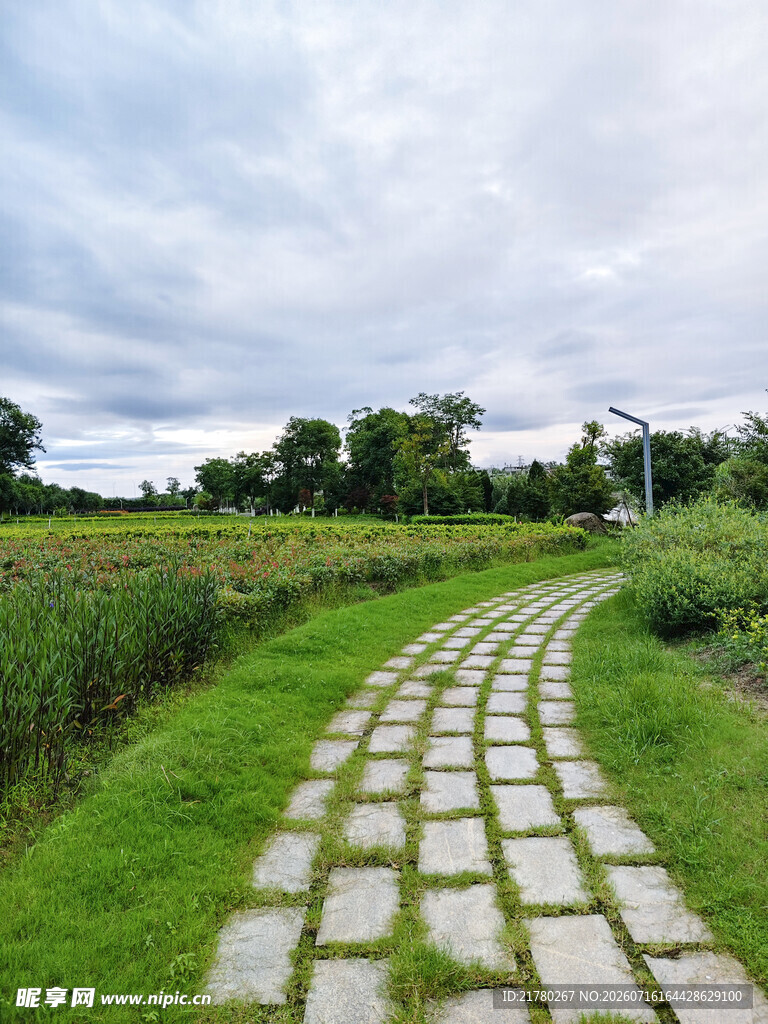 休闲石板路
